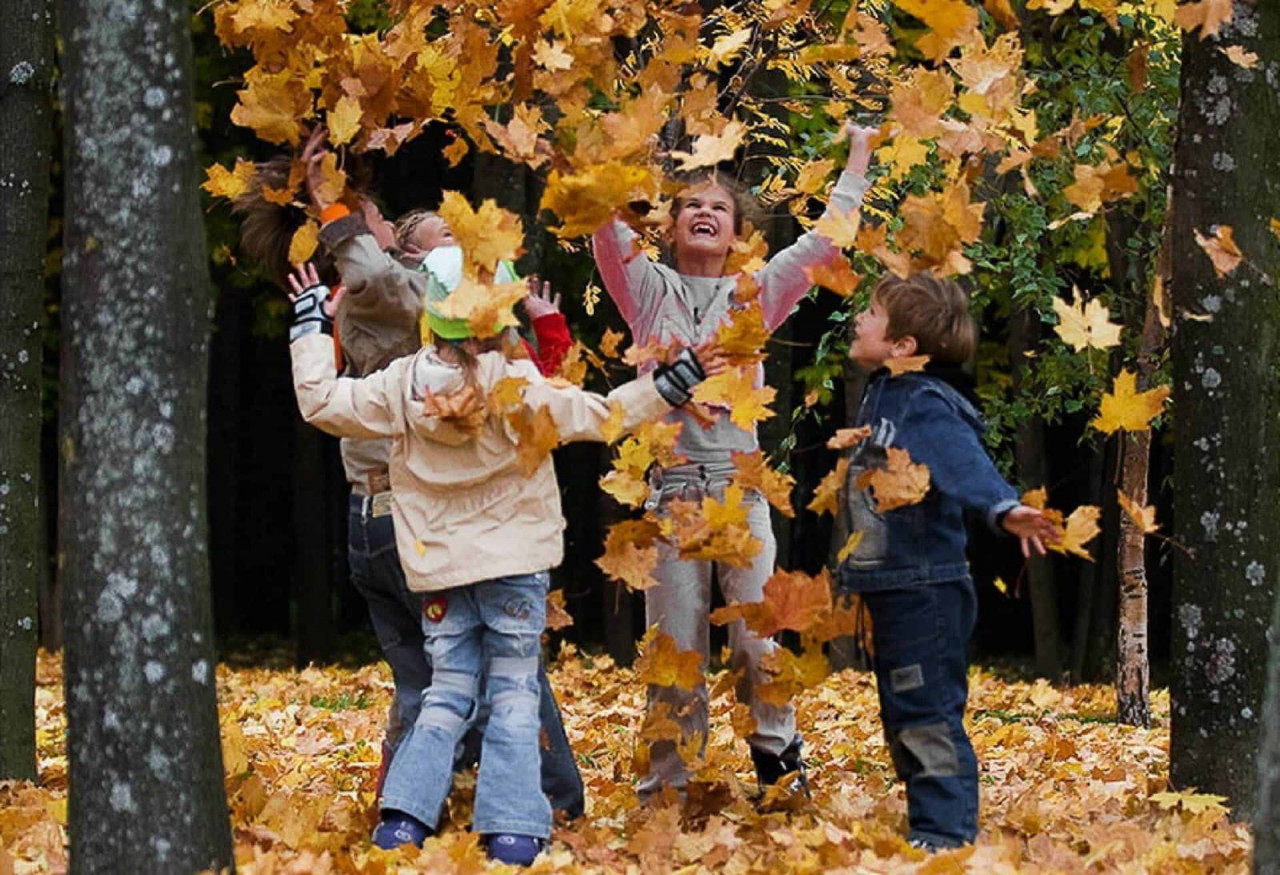 фото осень золотая для детей